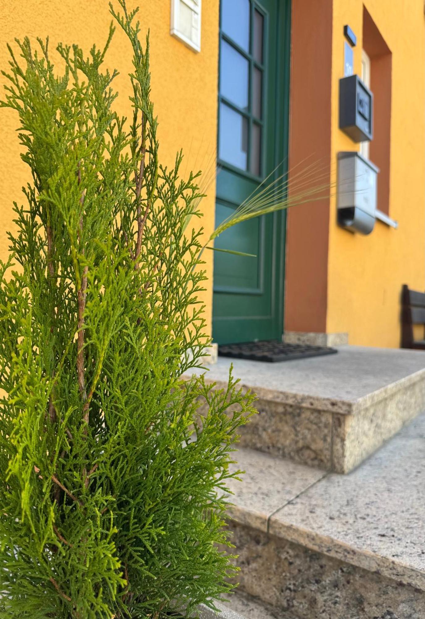 Mainsommer Kemmern Esterno foto